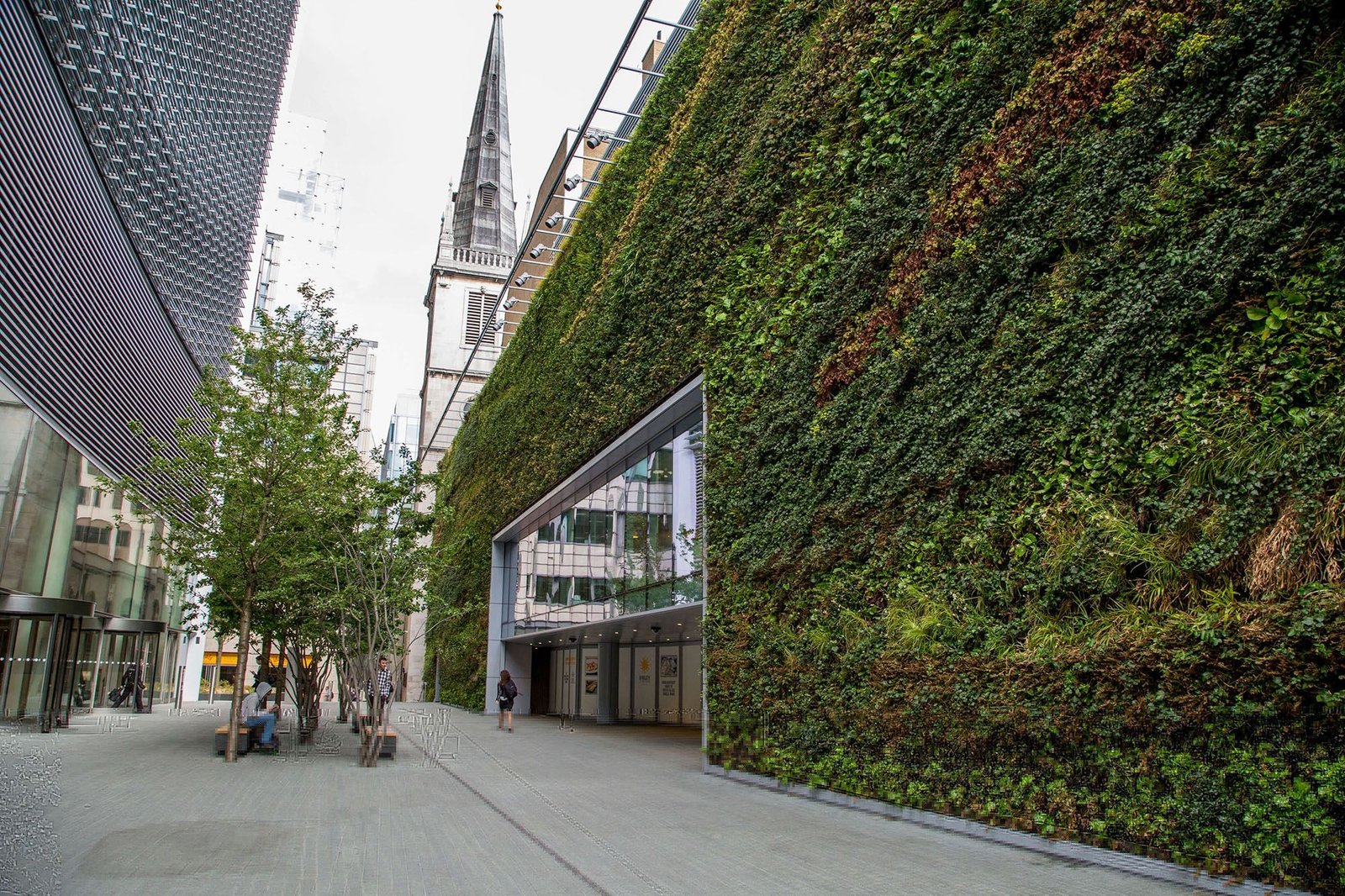 Building's Sustainability