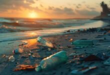 How Do Plastic Pollution And Recycling Impact Our Planet? 3 Plastic Pollution