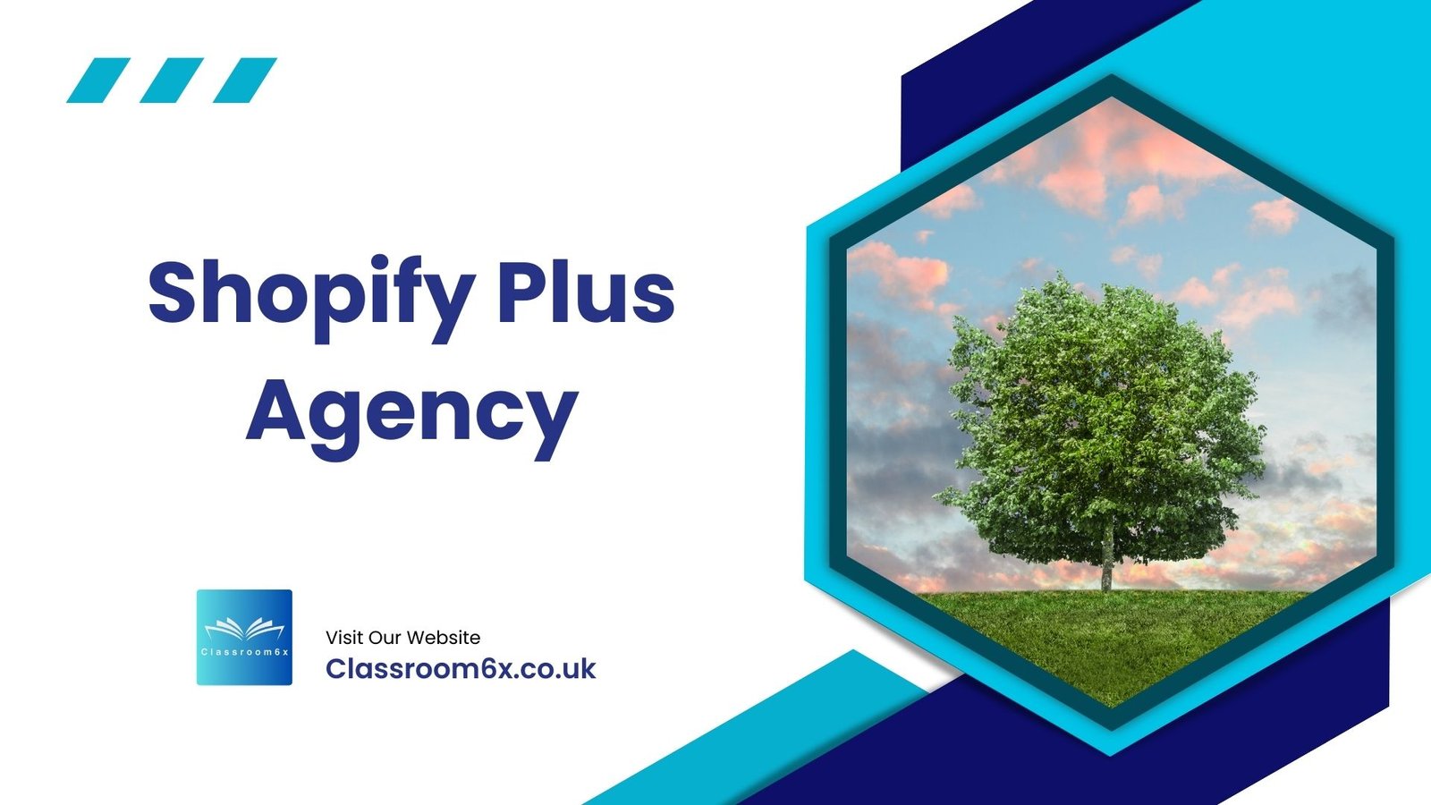 Shopify Plus Agency