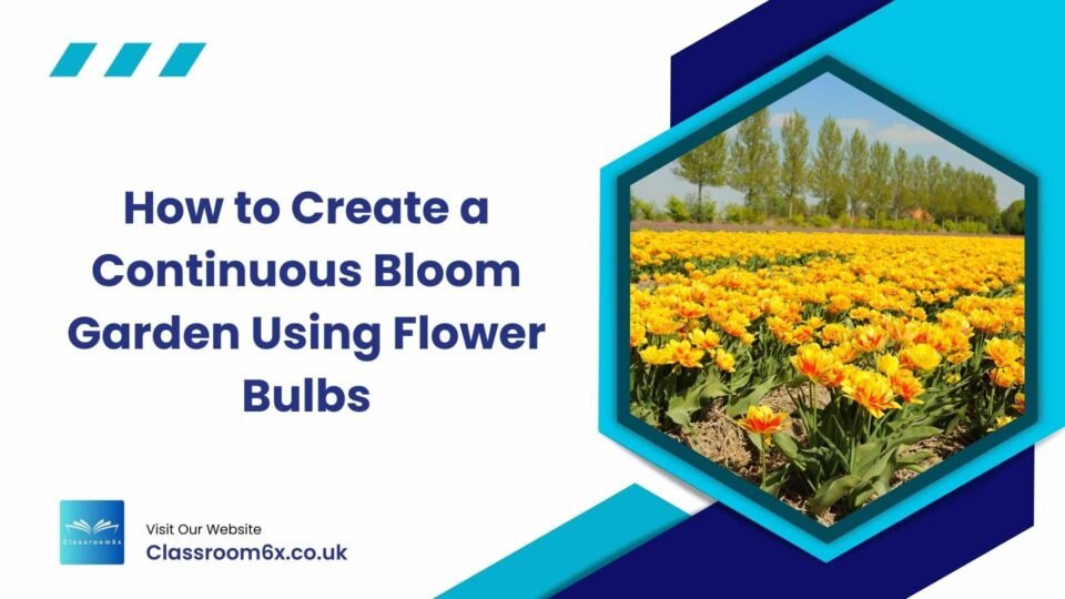 How to Create a Continuous Bloom Garden Using Flower Bulbs