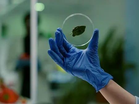 Sustainable and green laboratories Smart Laboratory Practices in 2025